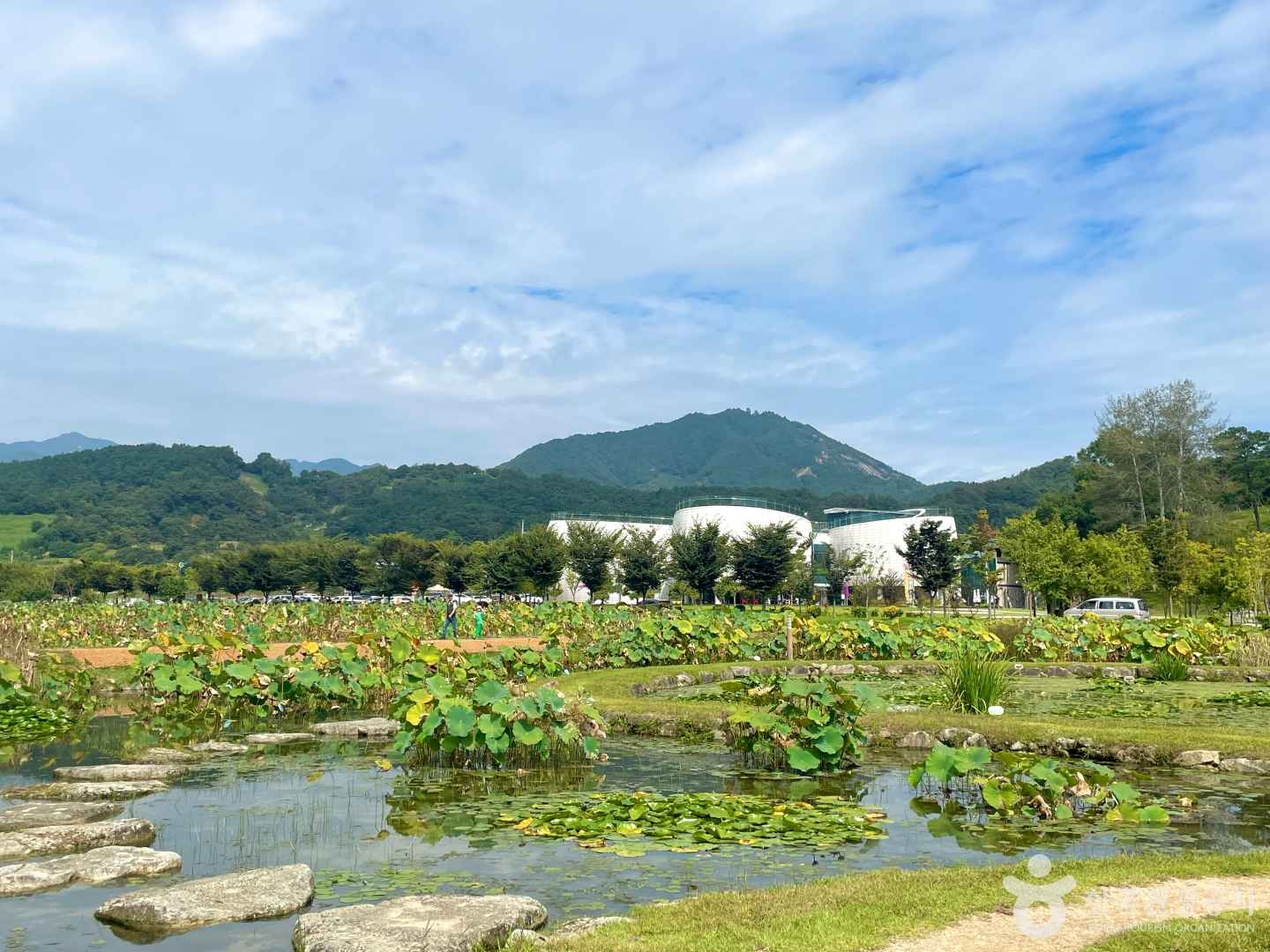 경남 함양 상림공원_천년의 숲 이미지 5
