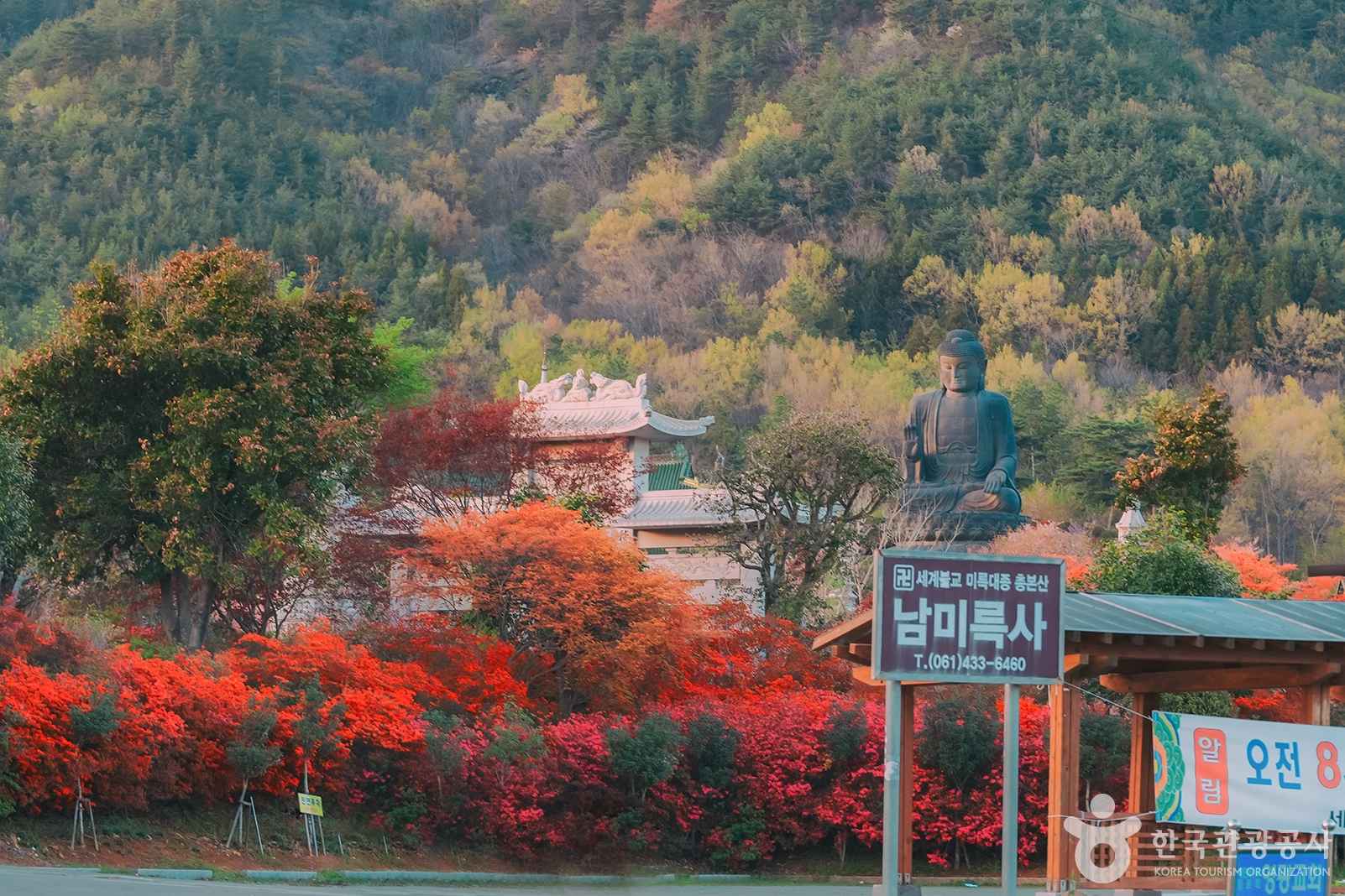 전남 강진군 남미륵사 이미지 1