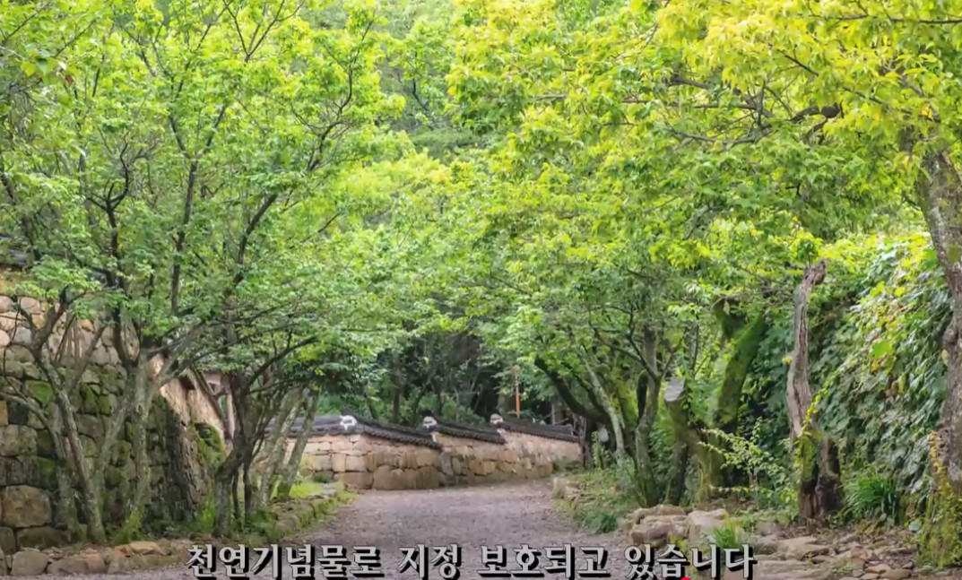 순천시 조계산 선암사[유네스코 세계유산] 이미지 5