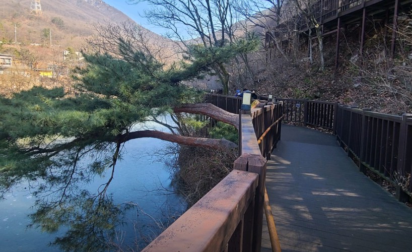 국립칠곡숲체원 이미지 3