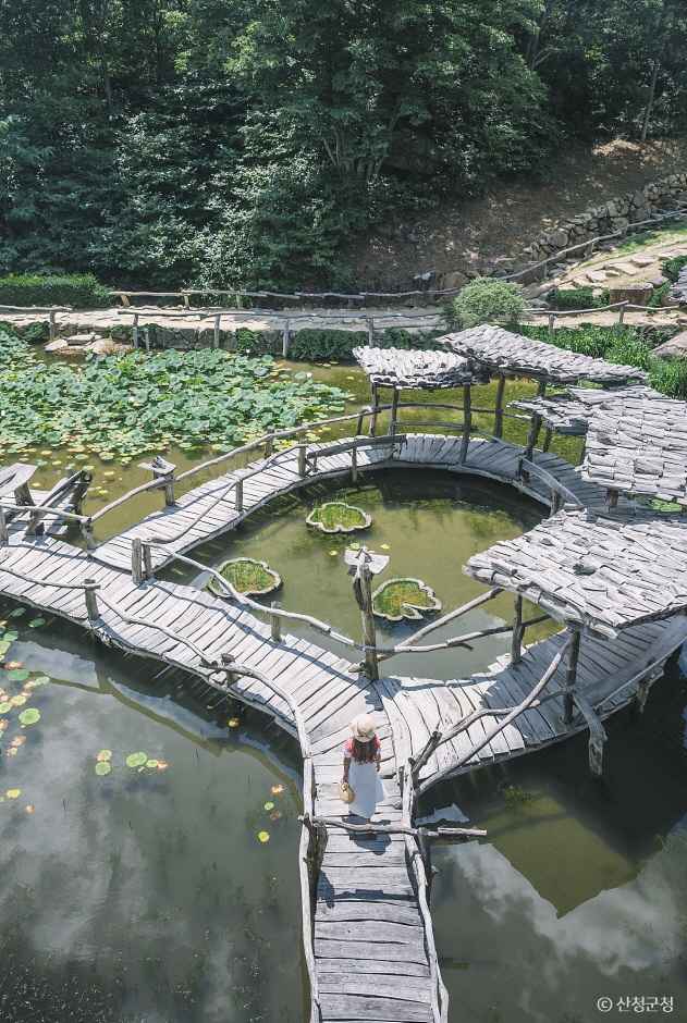경남 산청 수선사 이미지 4