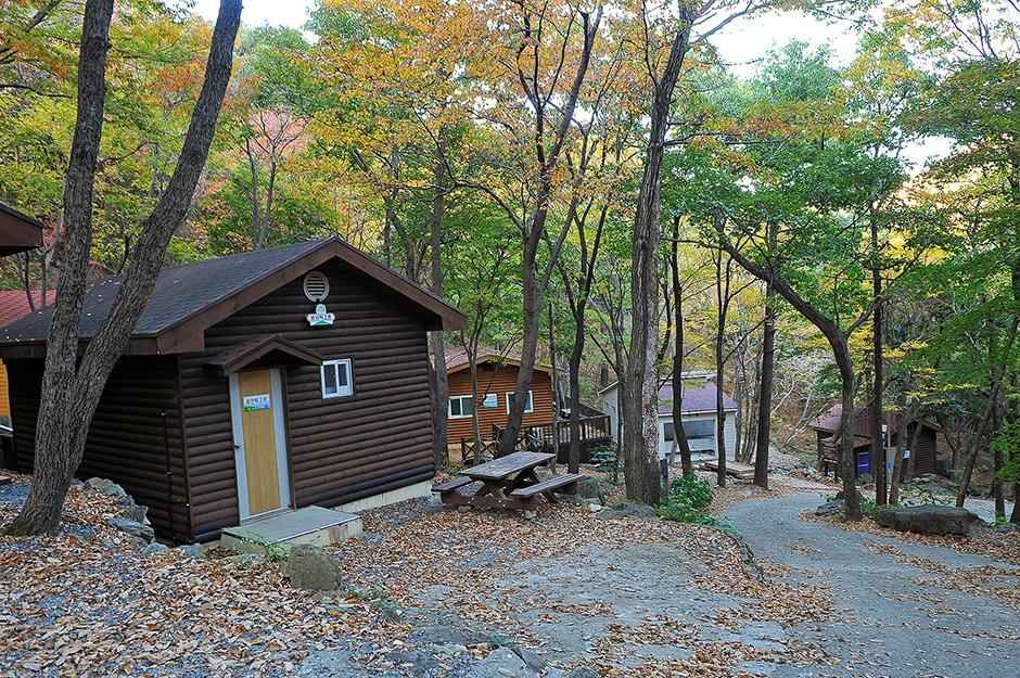 거제자연휴양림캠핑장 이미지 1