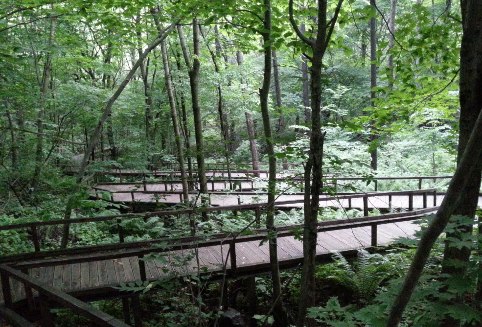 국립횡성숲체원 이미지 7