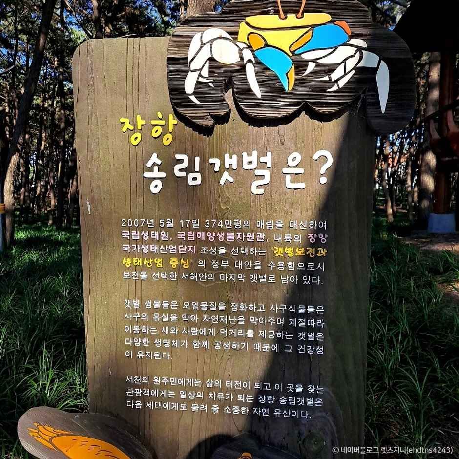 장항 송림갯벌체험장_유네스코세계문화유산 이미지 3