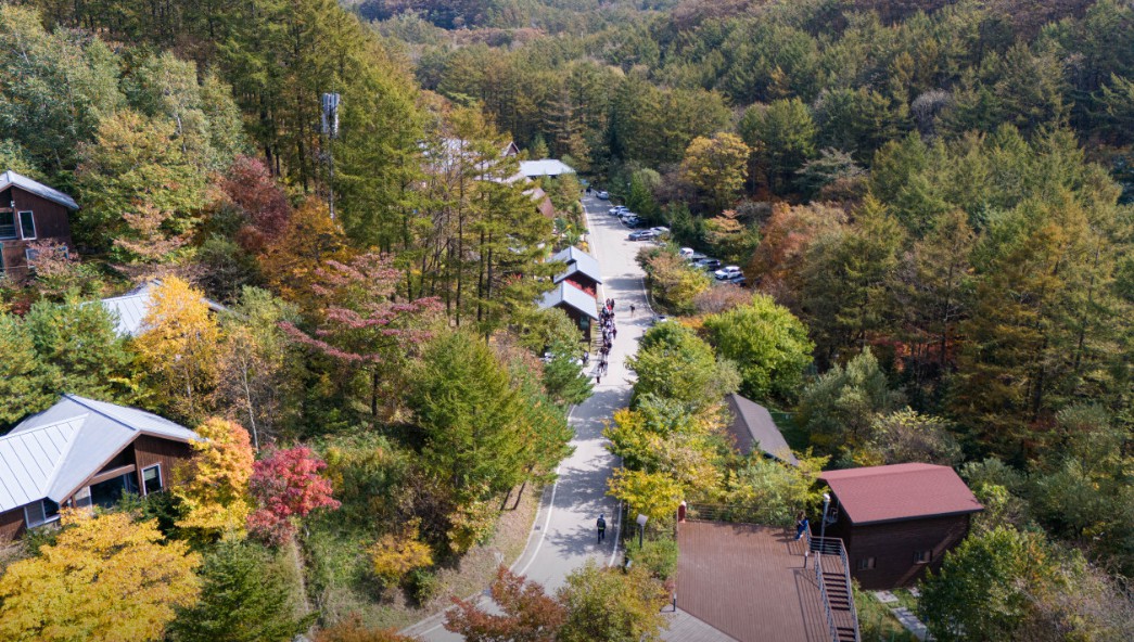 국립횡성숲체원 이미지 2