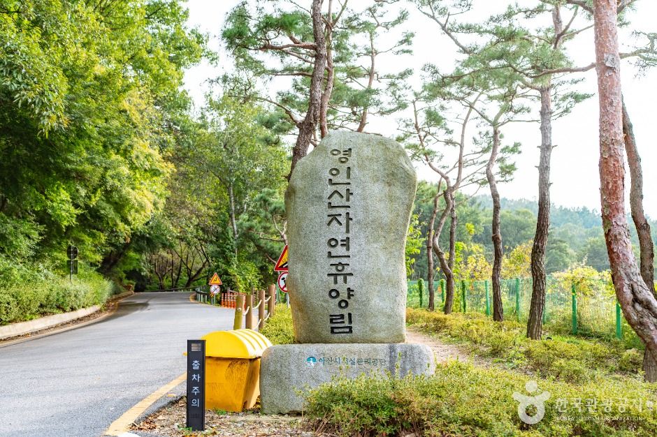 아산 영인산자연휴양림 이미지 10