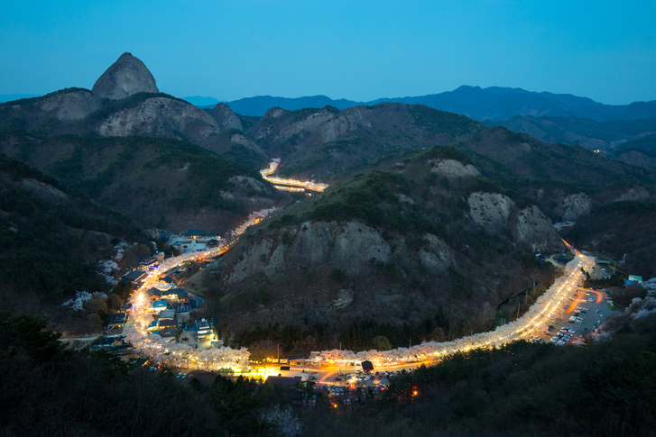 진안 마이산 벚꽃길 이미지 7