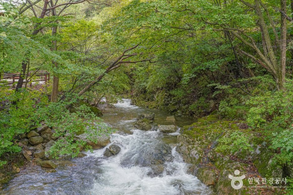 진안 운장산자연휴양림 이미지 4