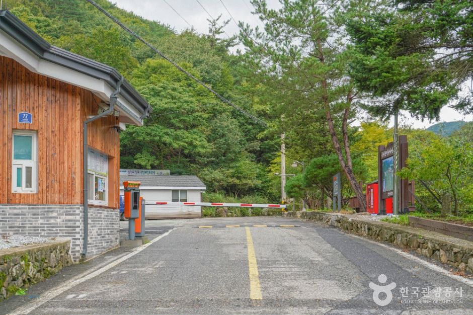 진안 운장산자연휴양림 이미지 3