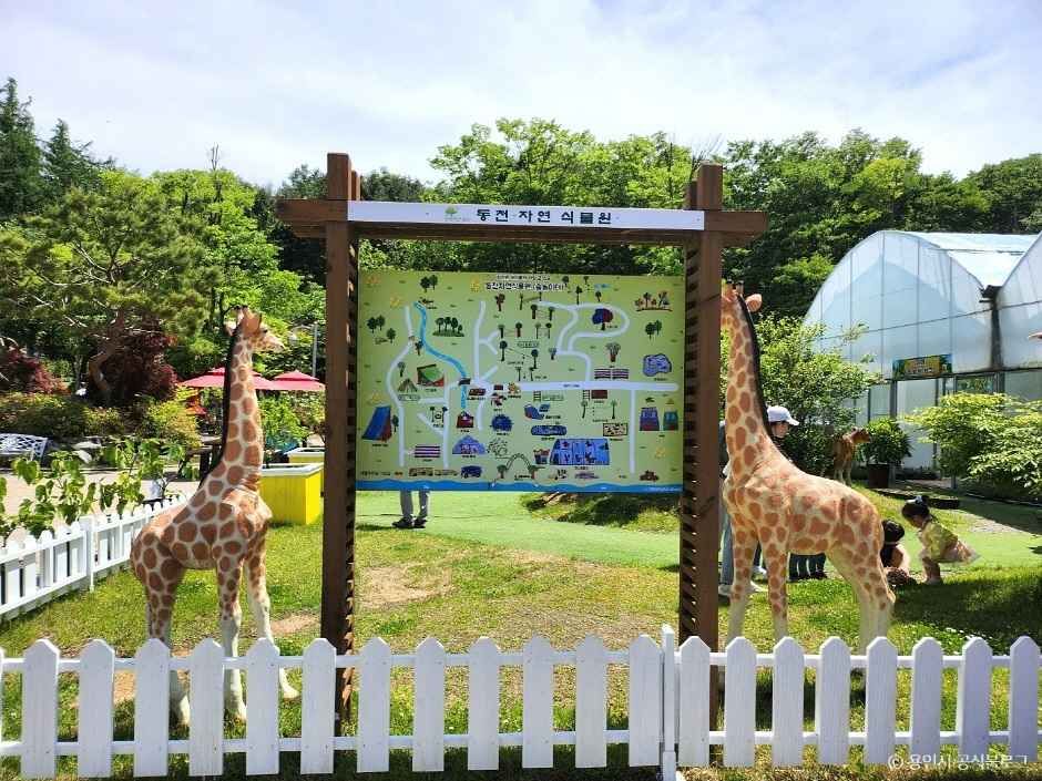 동천자연식물원 이미지 2
