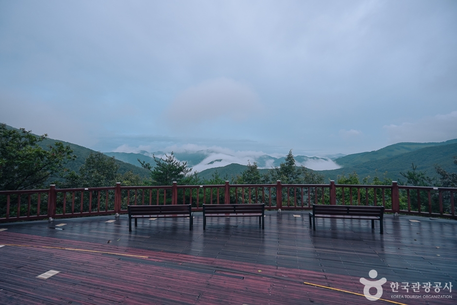 보령 옥마산 이미지 1