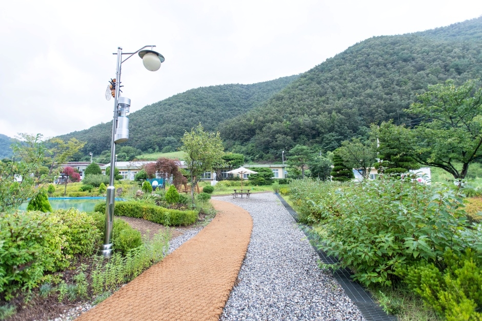 삼척 미로정원 이미지 5