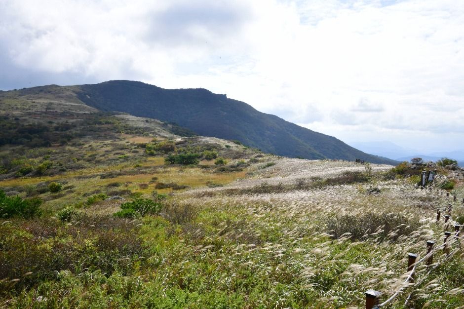 양산 천성산 이미지 4