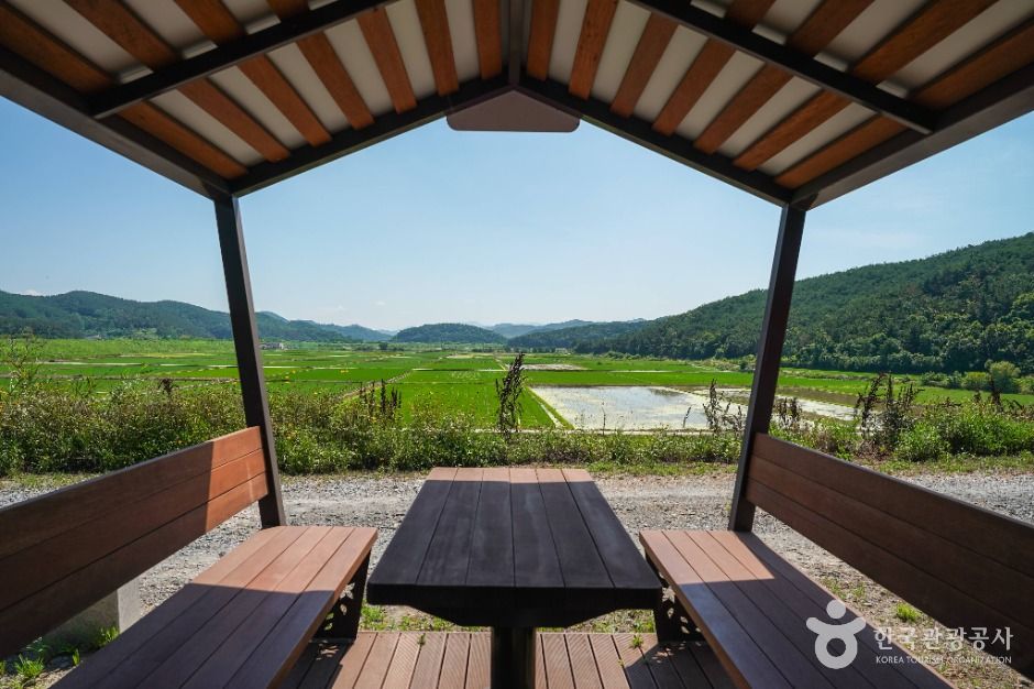 우포 출렁다리 이미지 2