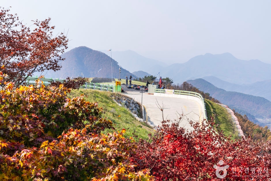 단양 양방산전망대 이미지 3