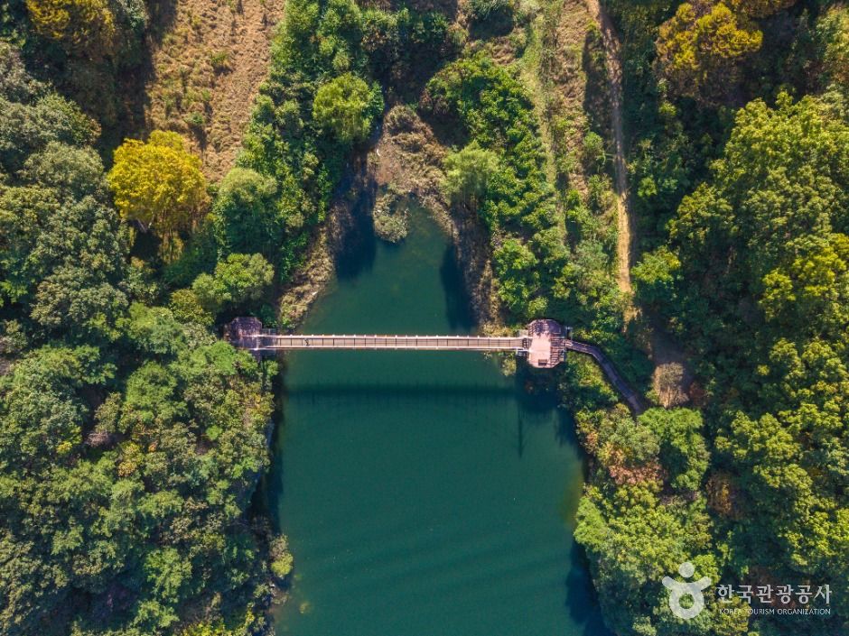 충주호 종댕이길 출렁다리 이미지 5