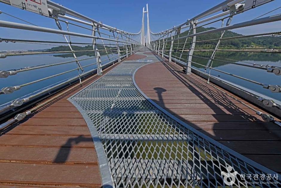 논산 탑정호 출렁다리 이미지 5