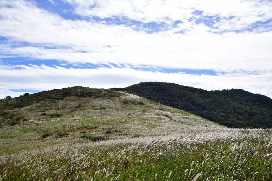 양산 천성산 이미지 3