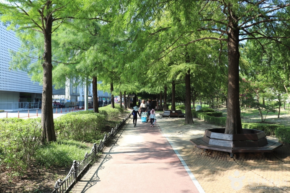 둔산대공원 이미지 2