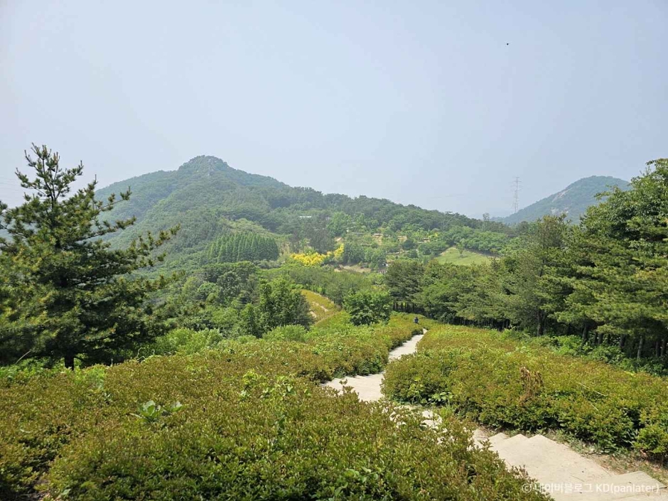 영인산 이미지 1