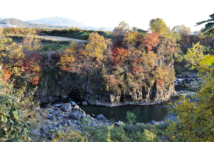 대교천 현무암 협곡 (한탄강 유네스코 세계지질공원) 이미지 1
