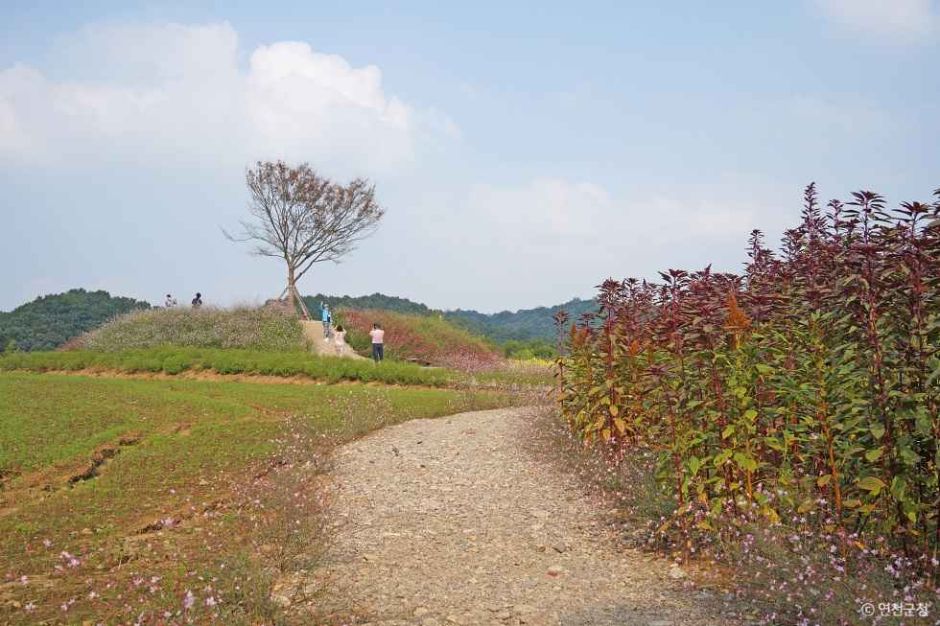 당포성 (한탄강 유네스코 세계지질공원) 이미지 4