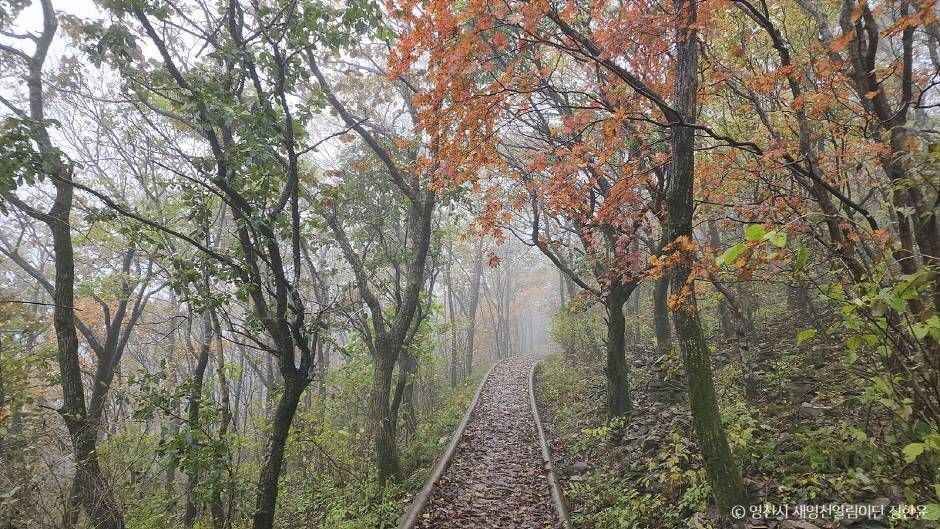 보현산(영천) 이미지 4