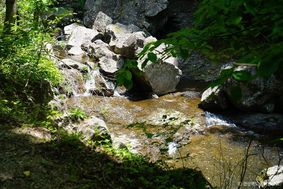 경북 주산지 (청송 국가지질공원) 이미지 7