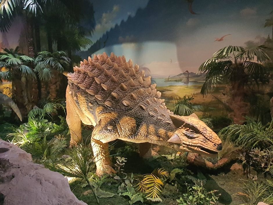 고성 공룡박물관 이미지 4