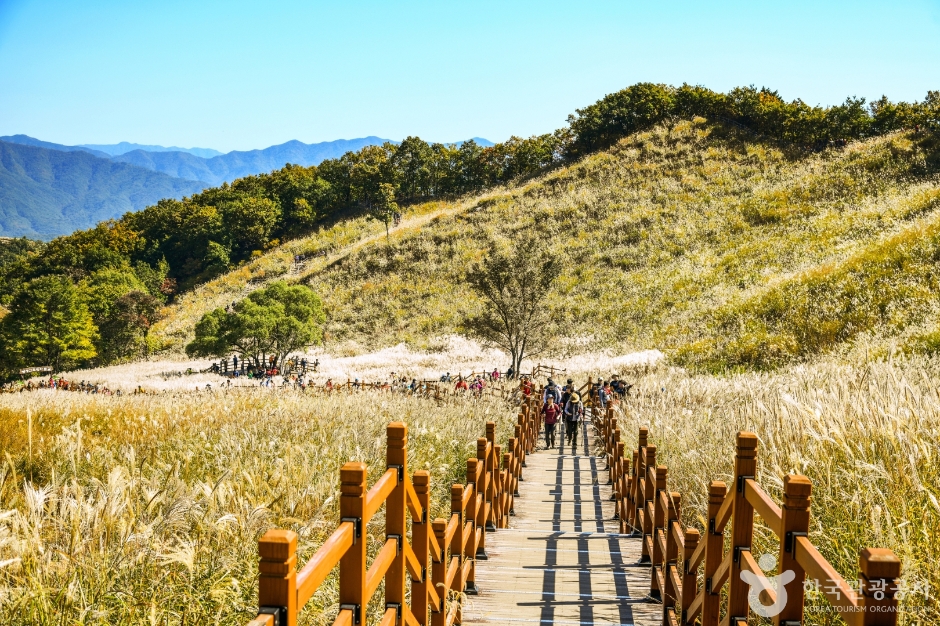 포천 명성산 억새밭 이미지 1