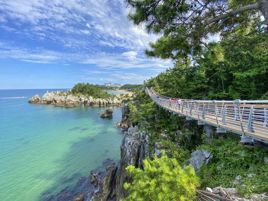 삼척 초곡용굴 촛대바위길 이미지 6