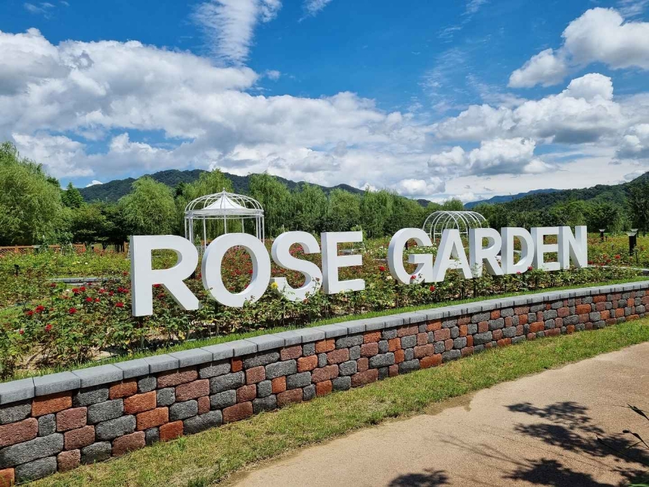 거창 창포원 이미지 7