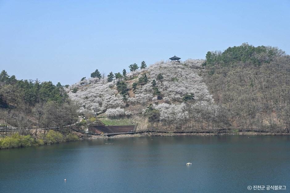 초평호 미르309 출렁다리 이미지 5