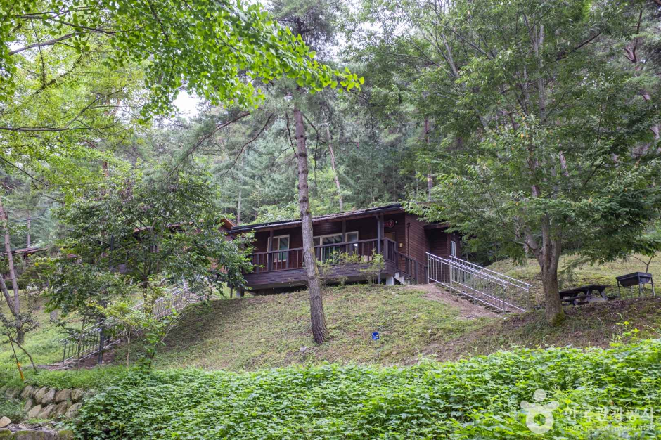 청송 자연휴양림 이미지 3