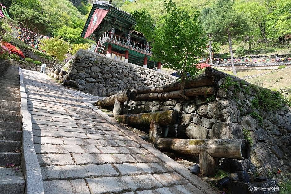 봉화 청량산 청량사 이미지 3