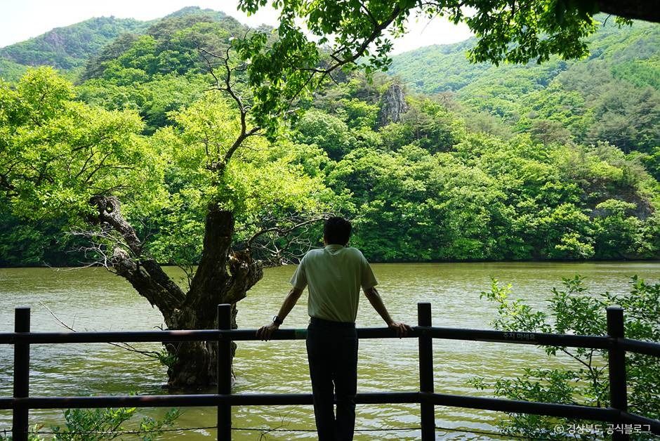 경북 주산지 (청송 국가지질공원) 이미지 5