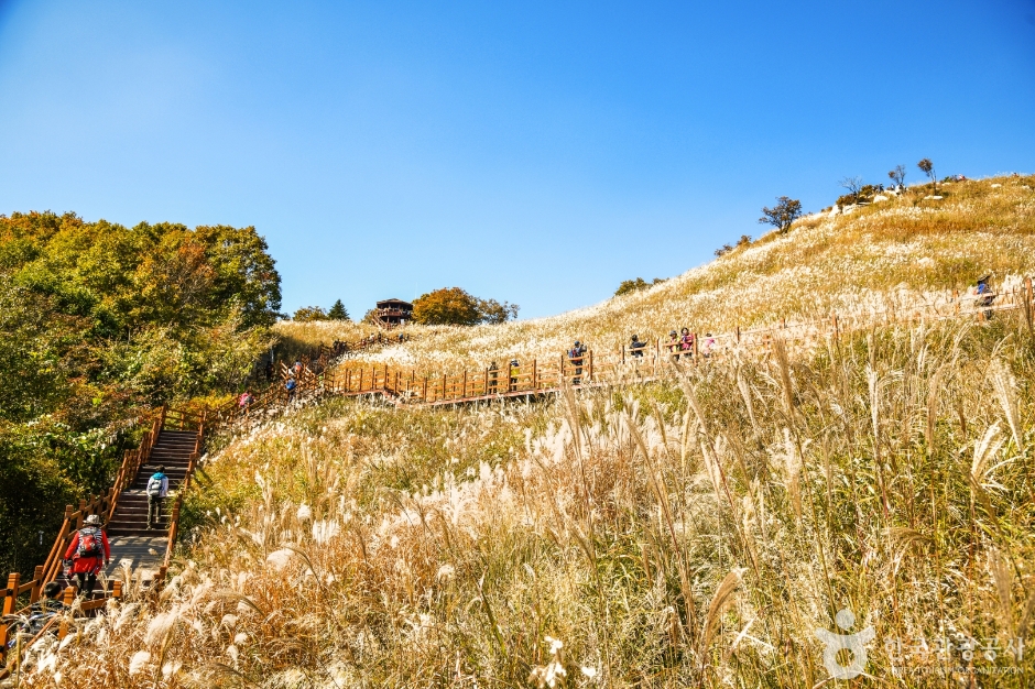 포천 명성산 억새밭 이미지 8