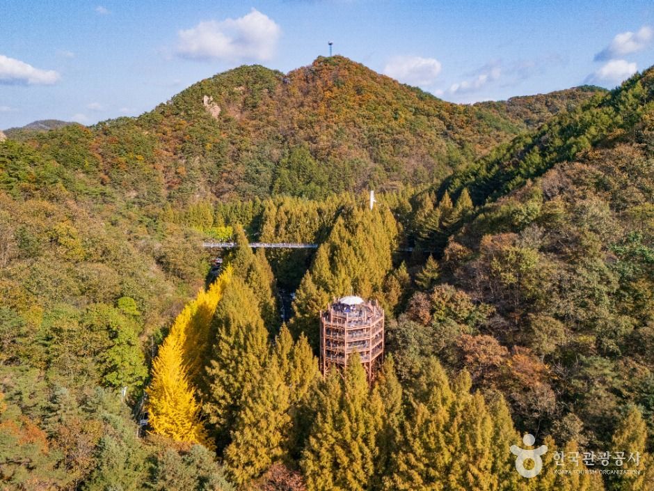 대전 장태산 자연휴양림 이미지 2