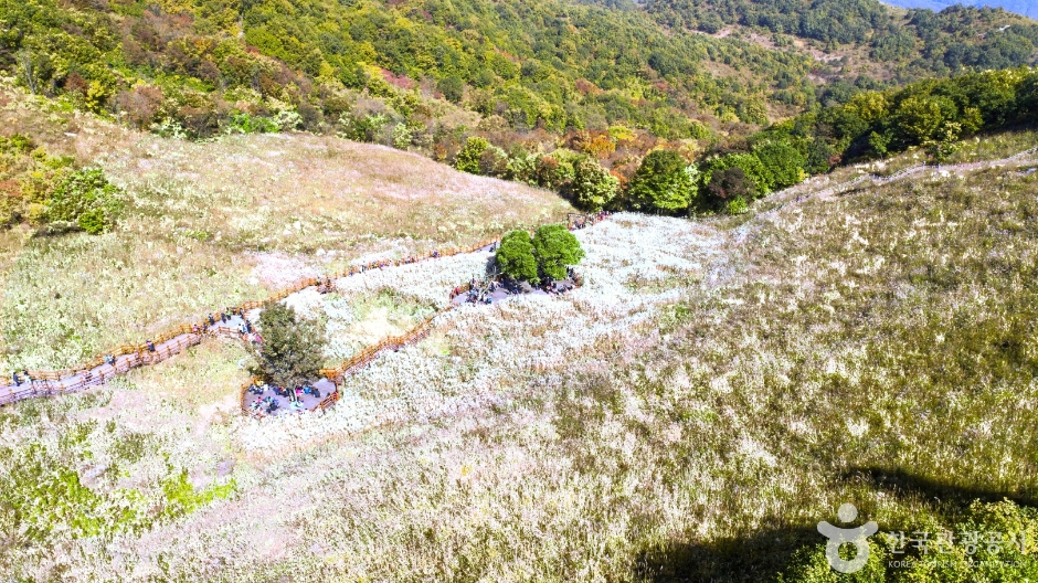 포천 명성산 억새밭 이미지 3