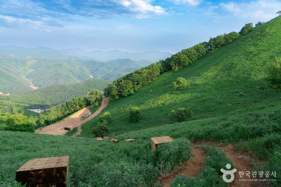 정선 민둥산 _한국의 알프스 이미지 6