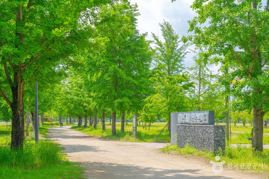 강천섬 유원지 이미지 6