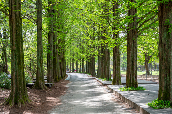 경상남도수목원 _진주 이미지 4
