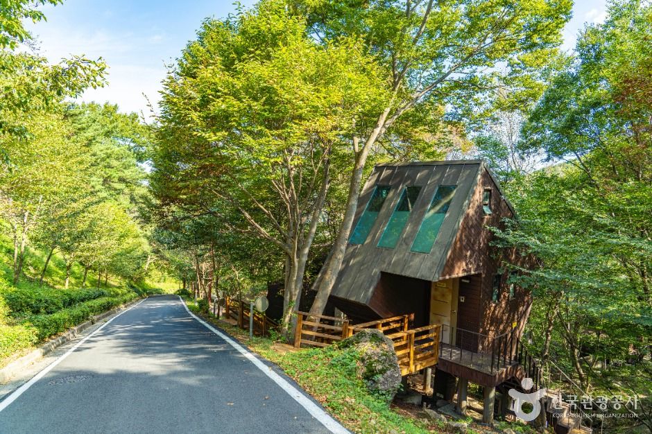 하동 구재봉자연휴양림 이미지 7