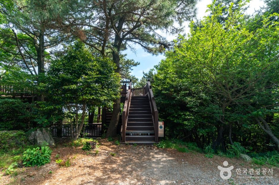 병대도전망대 이미지 3