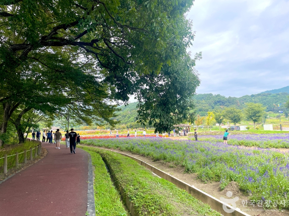 경남 함양 상림공원_천년의 숲 이미지 12
