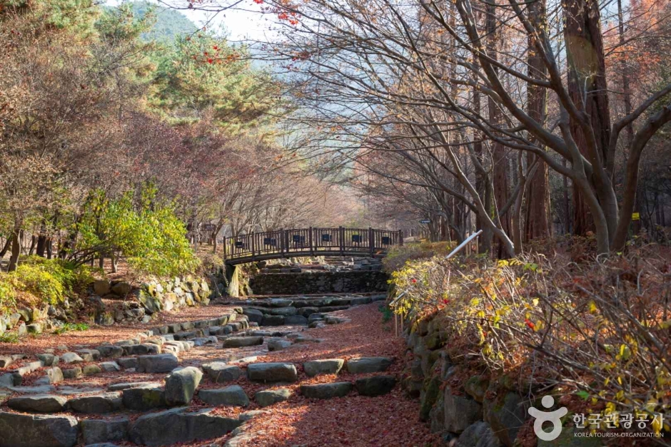 대전 상소동 산림욕장 이미지 9