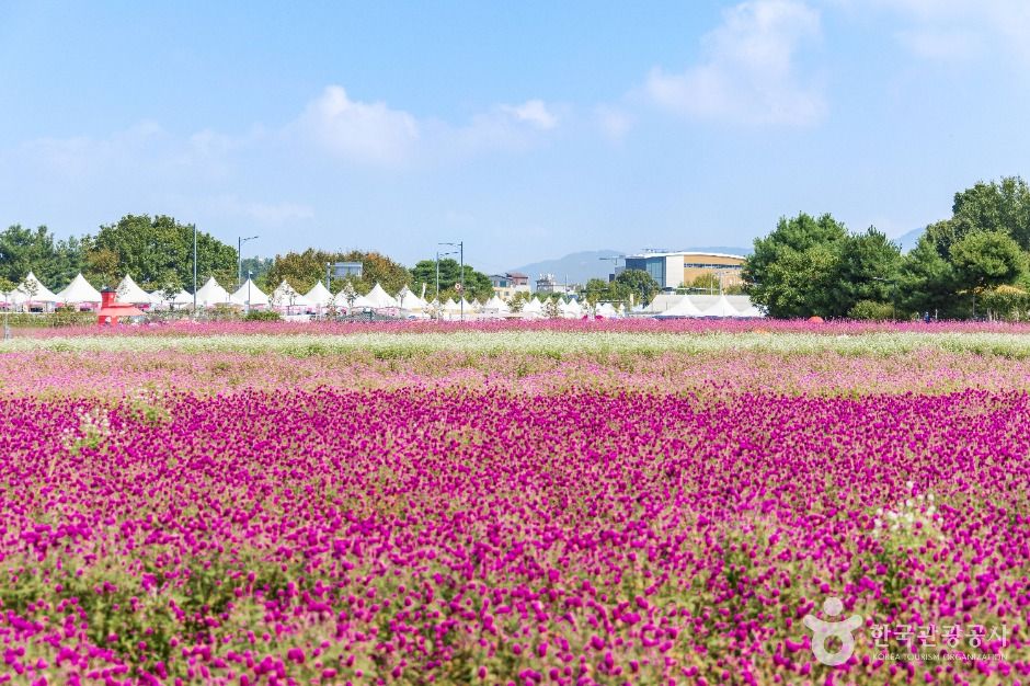 양주 나리농원 이미지 3