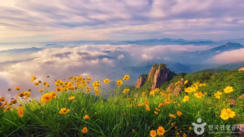 대둔산 도립공원 이미지 3