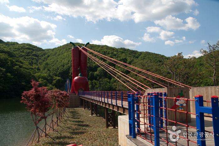 천장호 출렁다리 이미지 4
