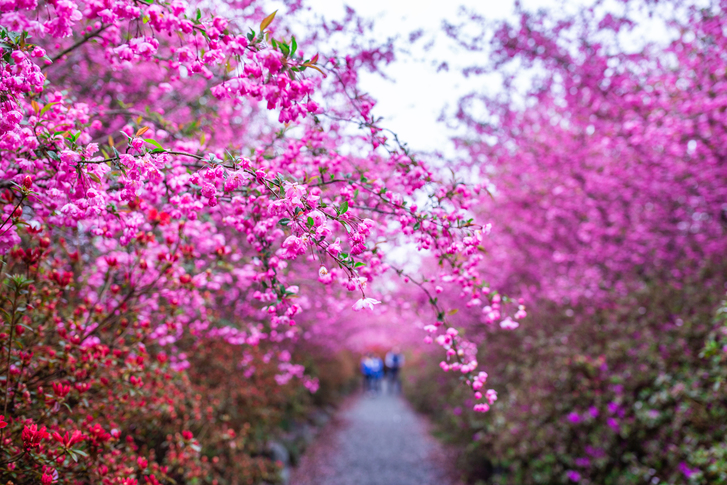 전남 강진군 남미륵사 이미지 4